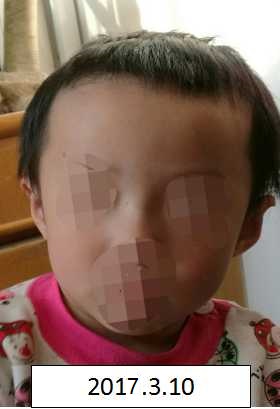 操逼美女视频免费看
